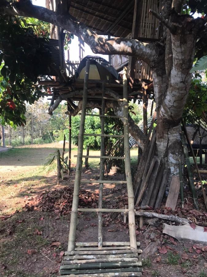 Hotel Amando_Tent Phayao Esterno foto